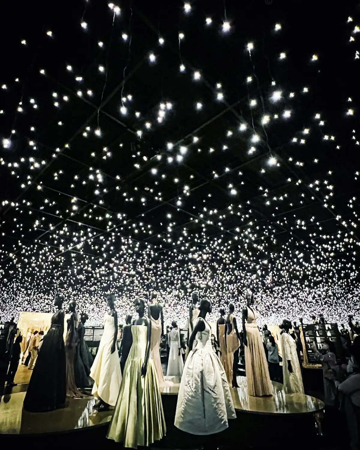 【さかぽんの美術手帳】清澄白河cafe の画像_6