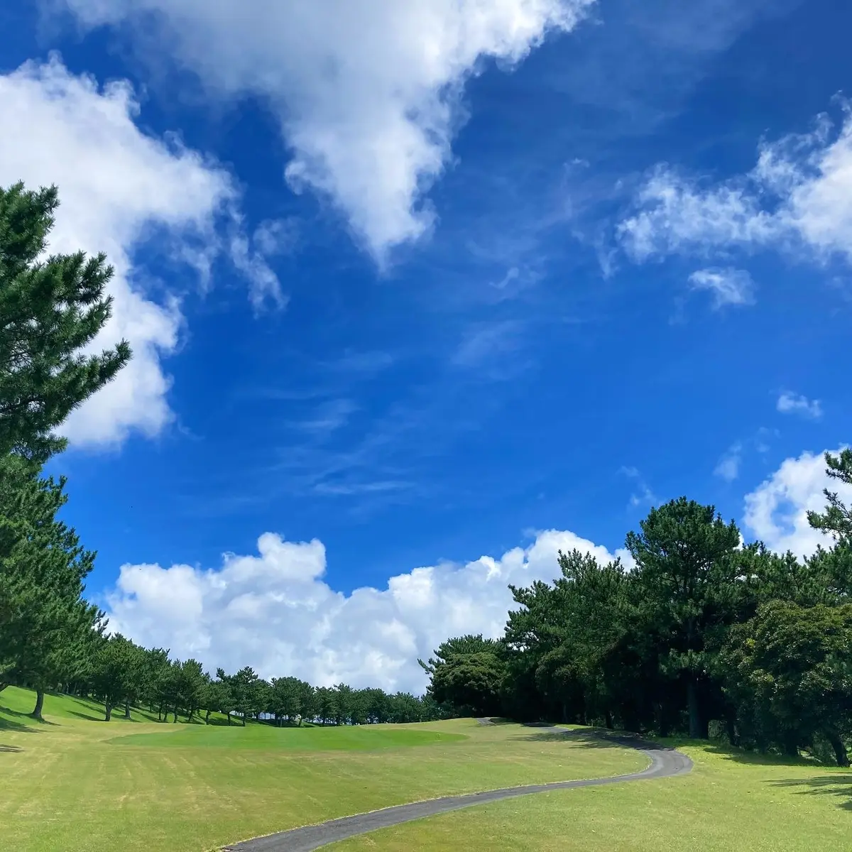 ゴルフ場の景色