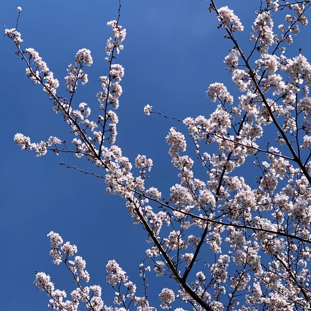 ブラック✖️ネイビーコーデの画像_3