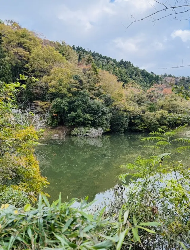自然の宝庫LAKOTANで、秋を味わうBの画像_2