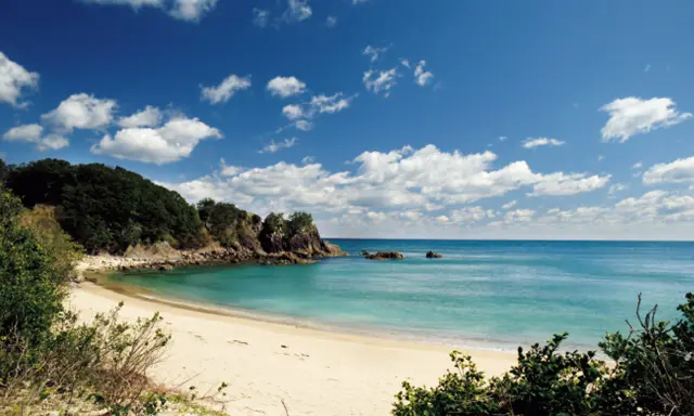 『いちえん農場』のすぐ近くには、きれいなビーチも