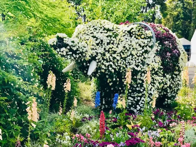 ＊里山ガーデンフェスタ＊Garden Nの画像_1