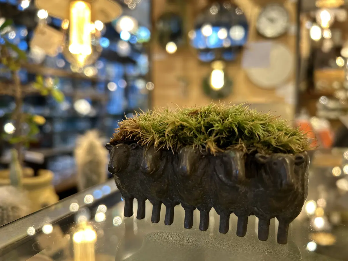 人形町寿堂〜丸の内BAR Oakへ🎵の画像_8