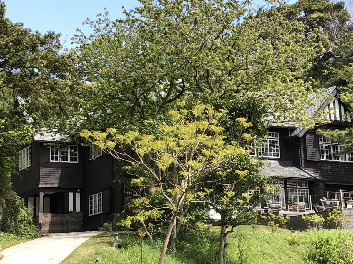 浴衣で大人女子会の画像_3