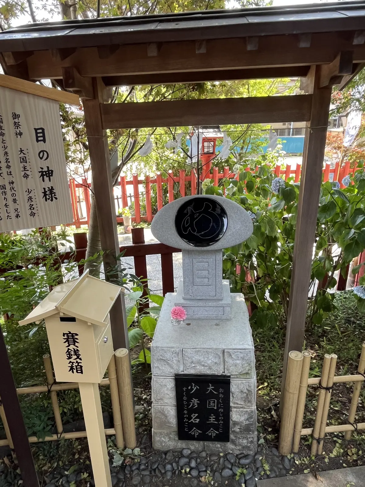 茅の輪くぐりと楽しみにしていたライブの画像_11