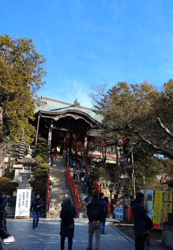 奈良で寅のパワーを頂きましたの画像_2