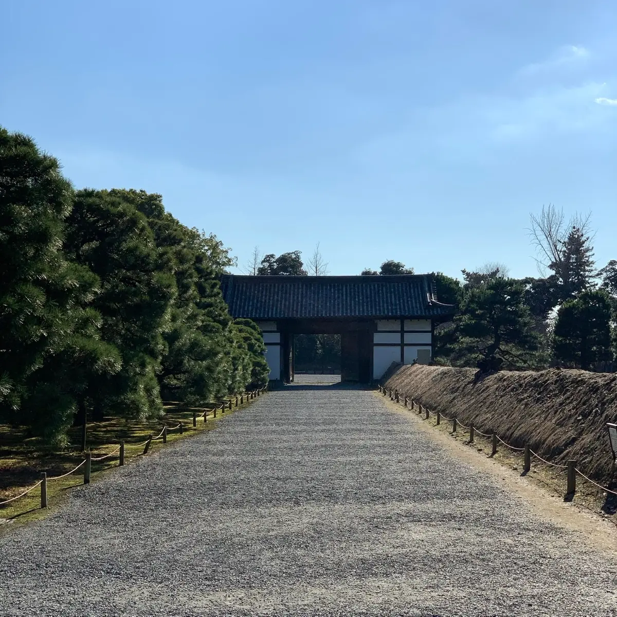 馬の足音が聞こえてきそうである