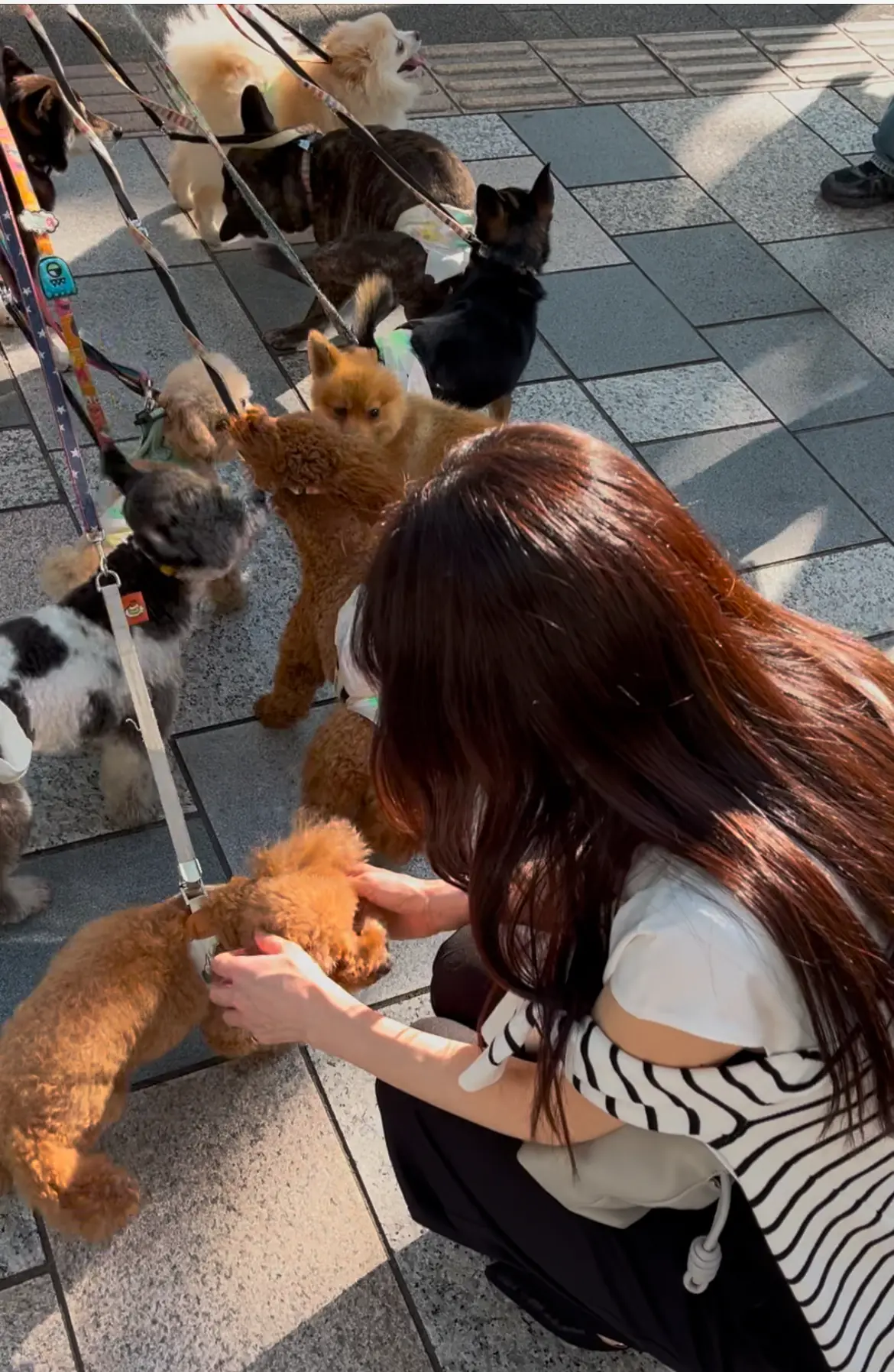 初夏にテラス席が最高のランチ＆オシャレなの画像_21