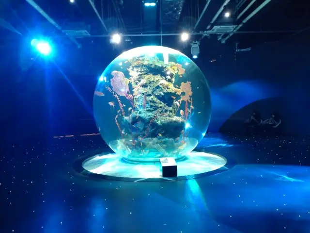 神戸　新感覚の都市型水族館アトアへの画像_4