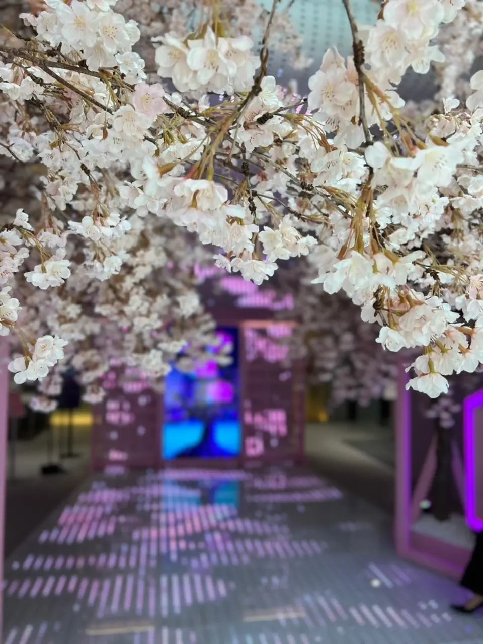 soul ジェーン　エヴリン　アトウッドの画像_3