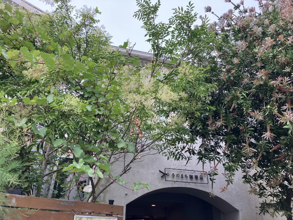 鎌倉紫陽花ツアーへの画像_23