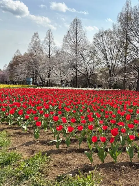 天井が高くて開放感のある素敵なカフェで美の画像_6