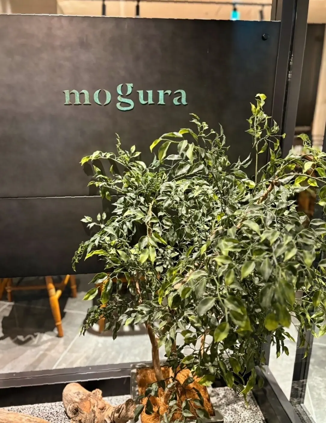 初めましてなんだけど、初めましてじゃないの画像_1