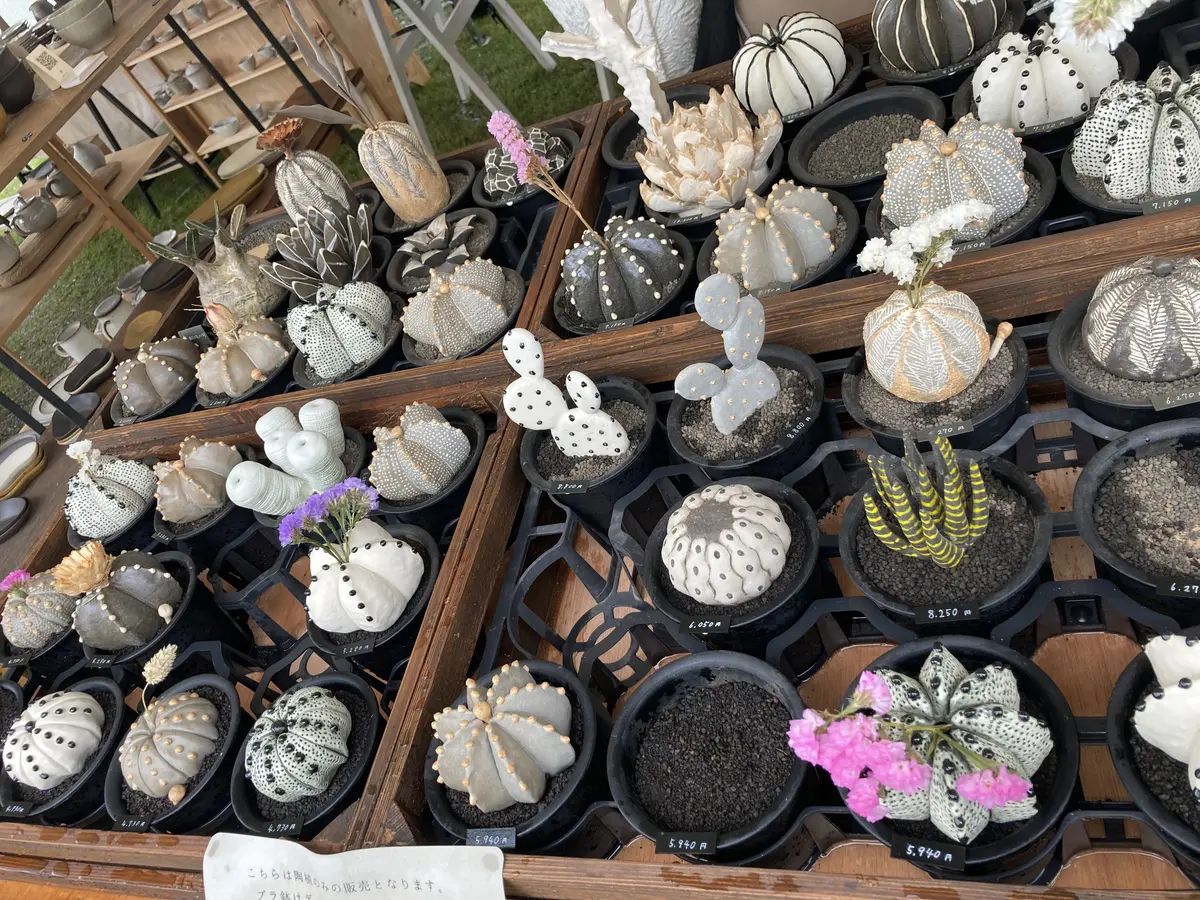 信楽焼作家市に今年もやってきました。‼️の画像_1