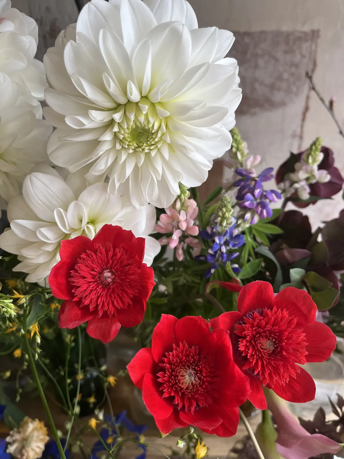 花屋で写真館の画像_7