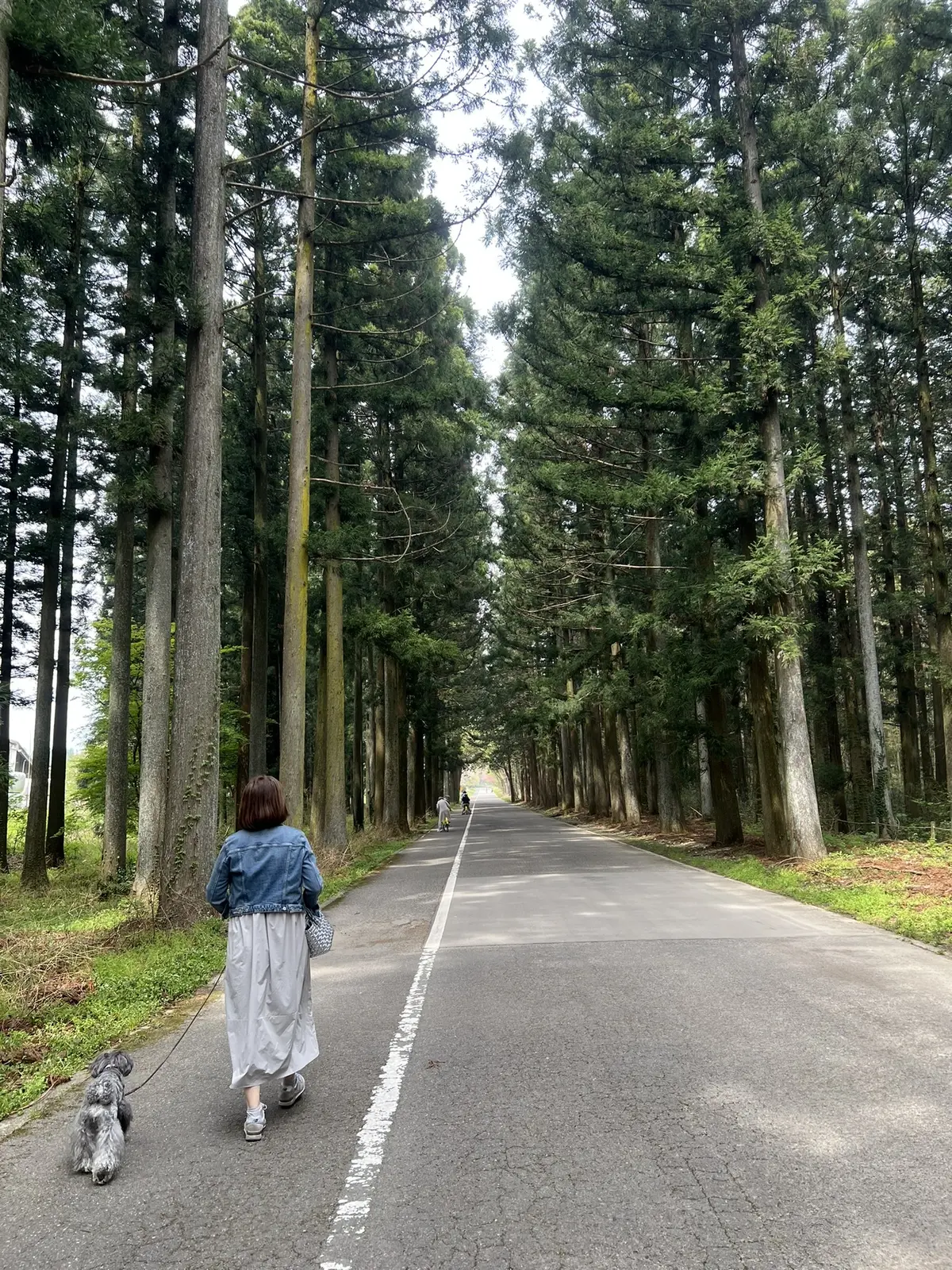 千本松牧場　梅澤千佳子