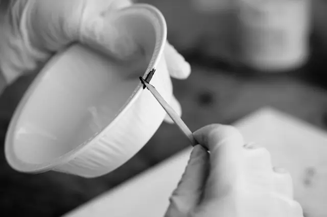 竹へらを使って、欠けた部分に漆を塗る