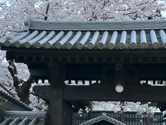 【さかぽんの冒険】後編☆老舗グルメのくいの画像_24