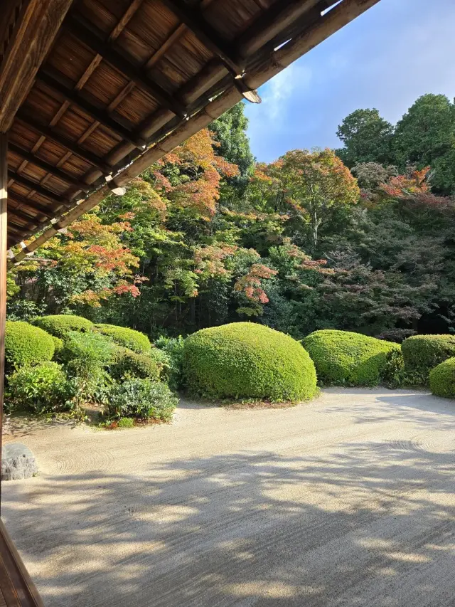 秋の京都ひとり旅・中編 ～瑠璃光院から詩の画像_15