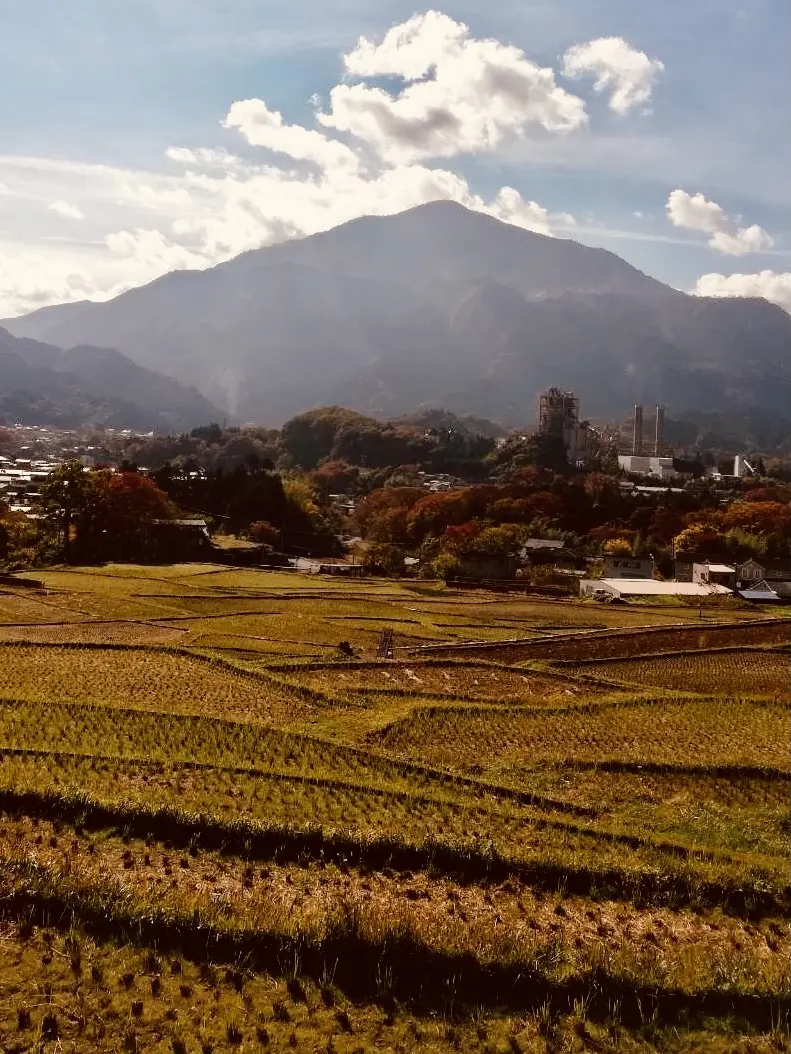 ♫ラビューに乗って♪の画像_6