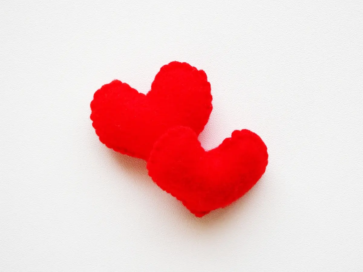 50代女性のホンネ：最近ときめいたことはの画像_1