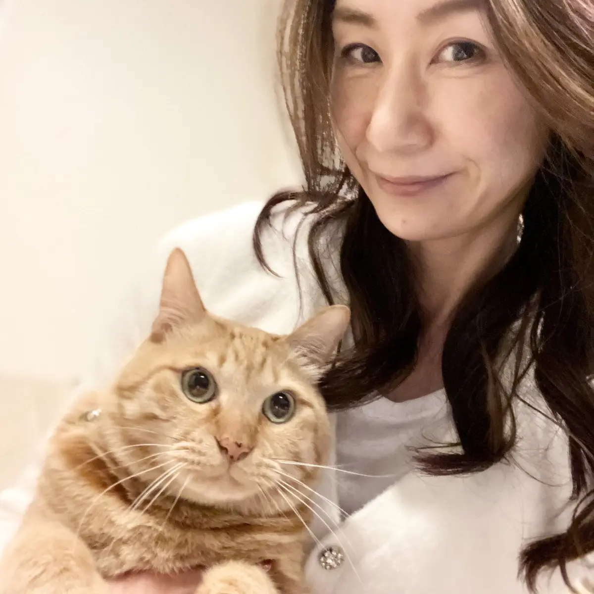 飼い猫の虎太朗にボタンをイタズラされないようにしなければ！