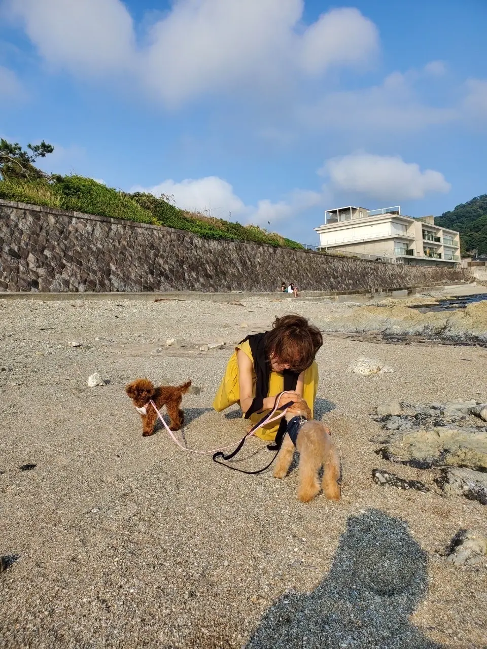 ワンコと一緒に海へお出かけの画像_6