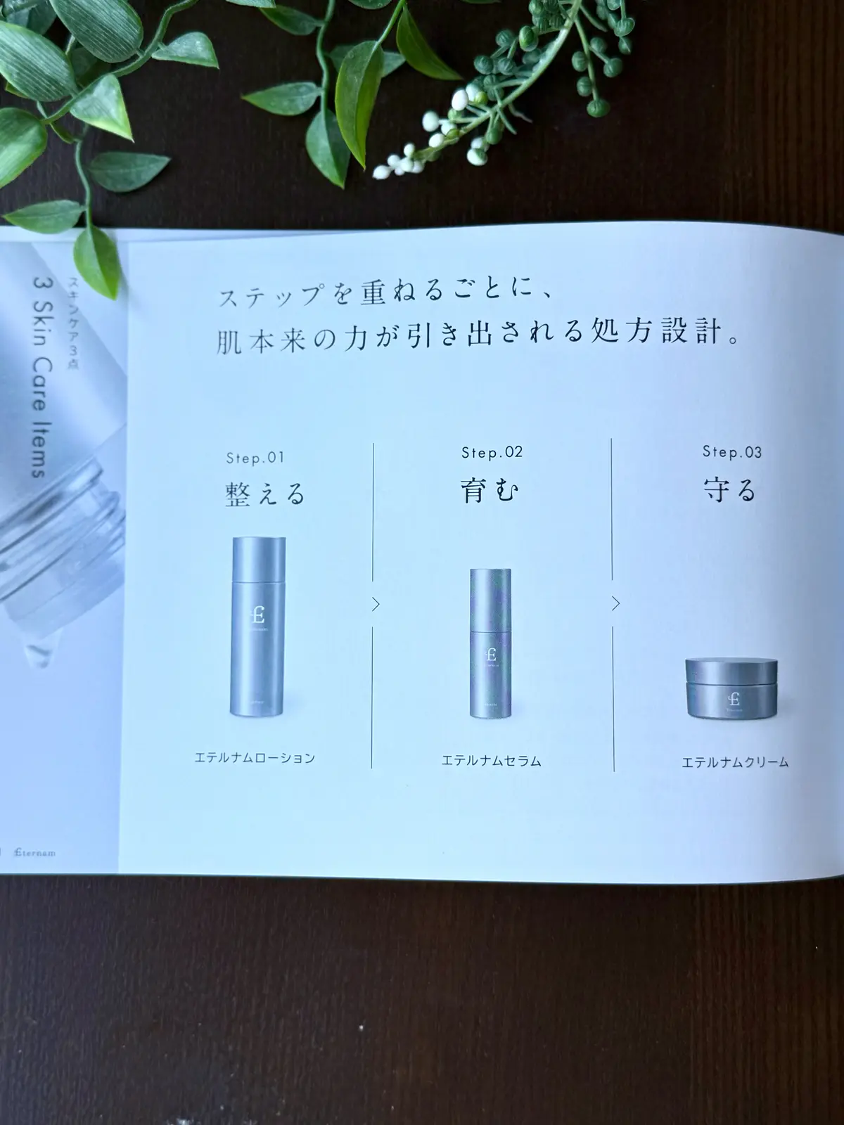 ソワレ・ドゥ・エクラ 　ザ・ストリングス表参道　お土産　エテルナム　再生医療　臍帯由来　幹細胞スキンケア