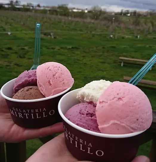 「ジェラテリア　ミルティーロ」ジェラート