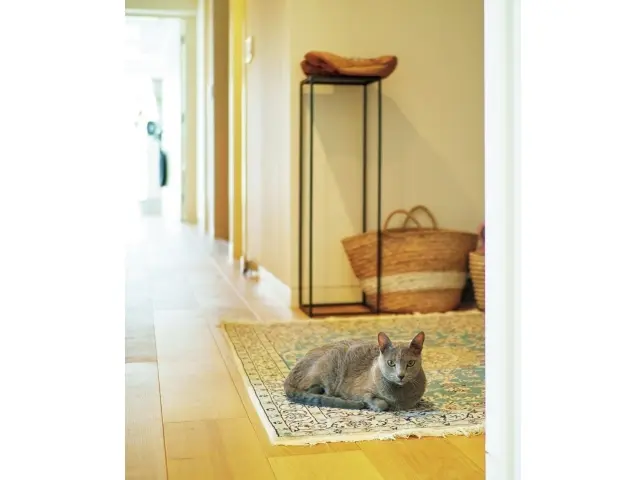 廊下から取材を様子見