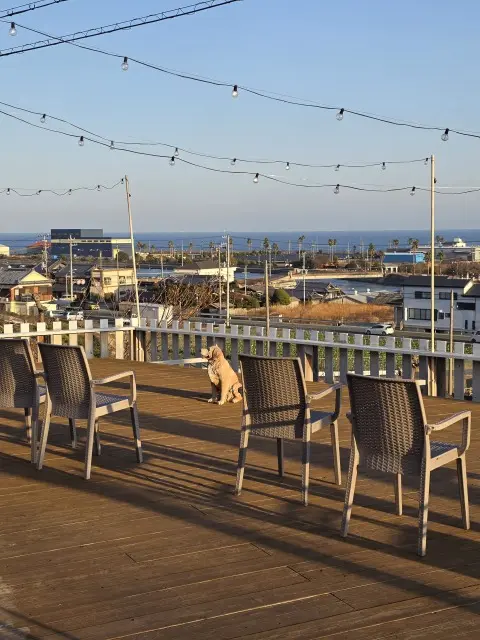 淡路島で新年会の画像_14