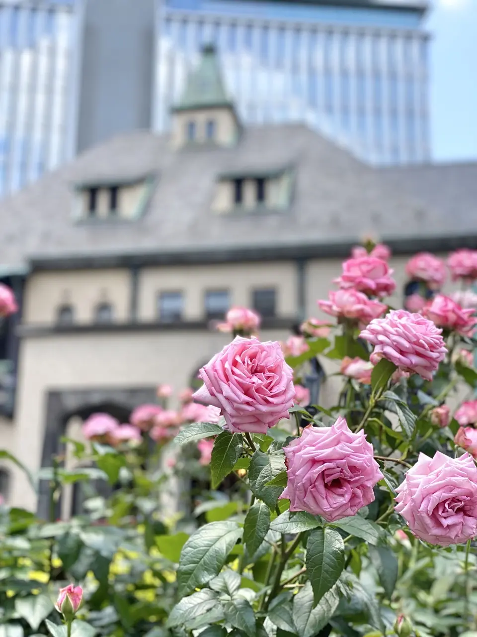 東京ガーデンテラス紀尾井町④