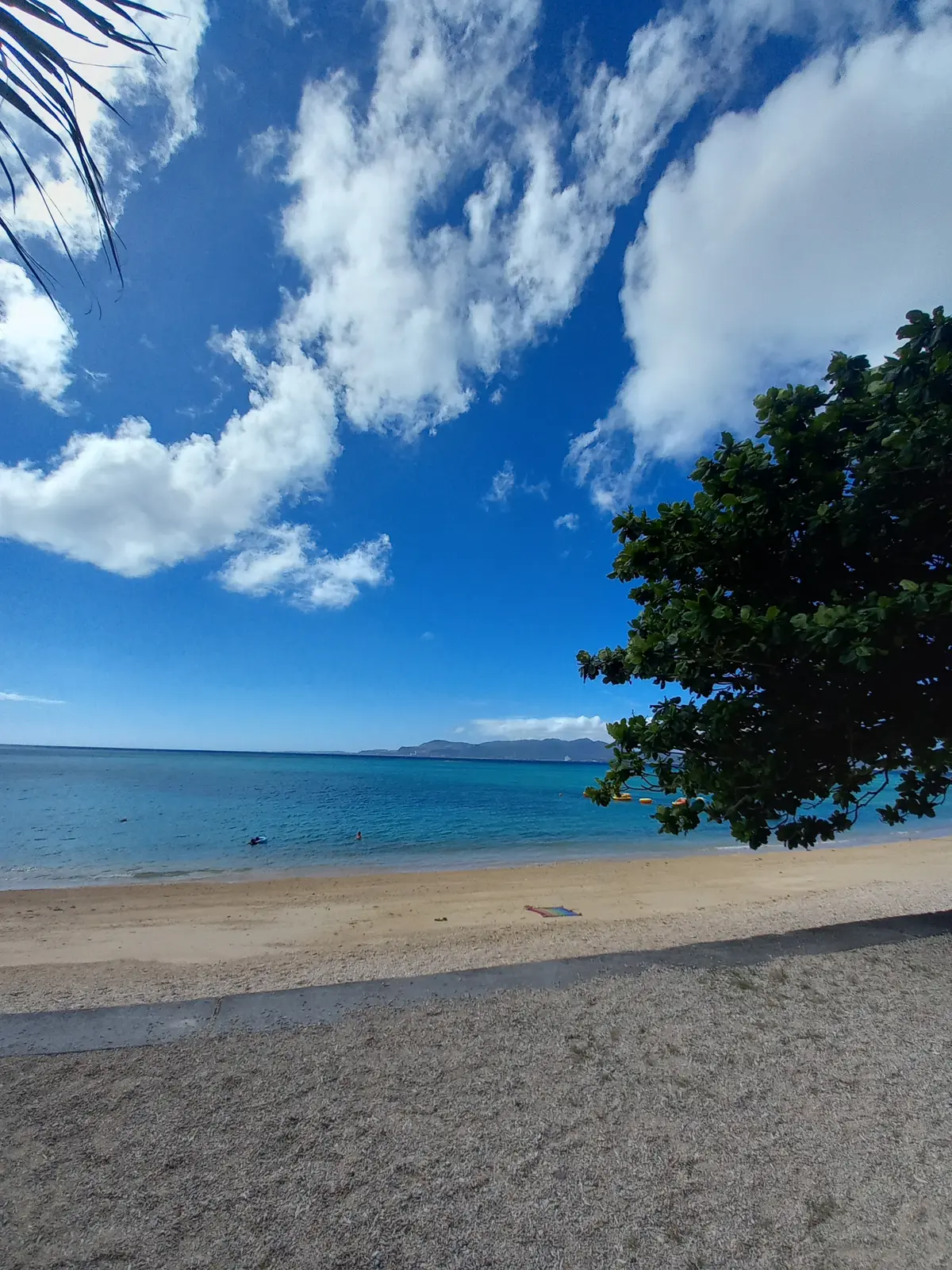 【沖縄】大人の修学旅行♡王道スポット&沖の画像_1
