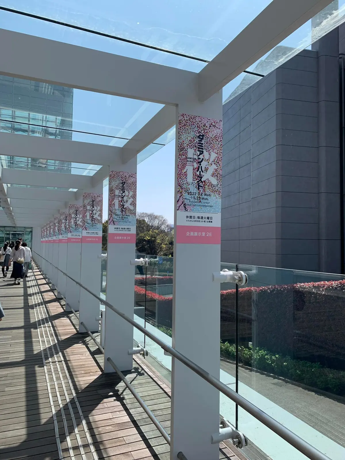 屋内でお花見！ダミアンハーストの桜。みての画像_5