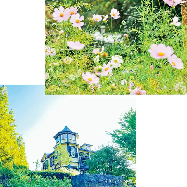 街へ山へ海へ！ 楽しく心躍る お出かけ情報をお届け