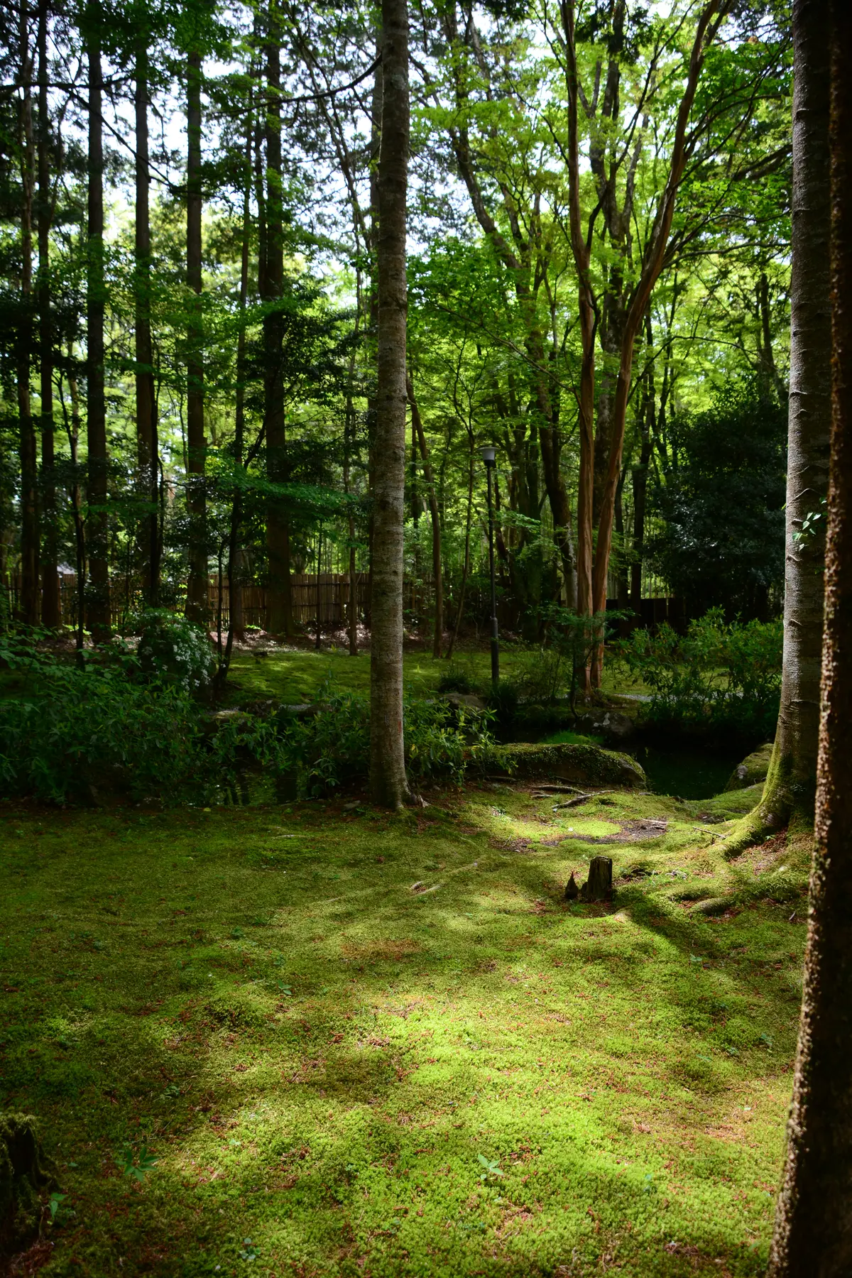 御殿場東山の旧岸邸への画像_12