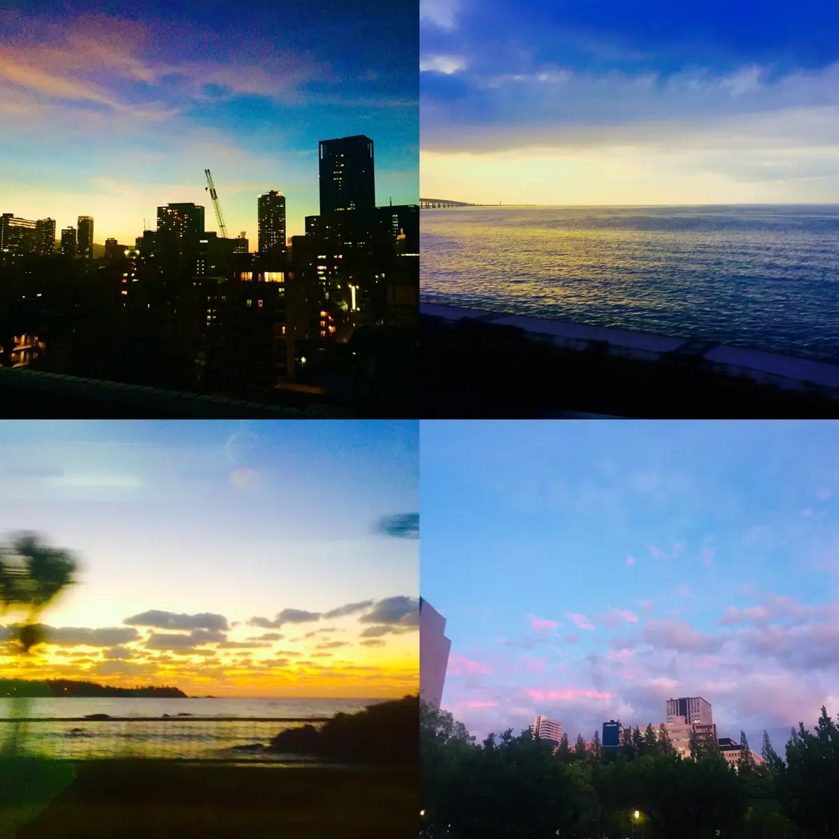 空は天才♪夏のコレクションの画像_7