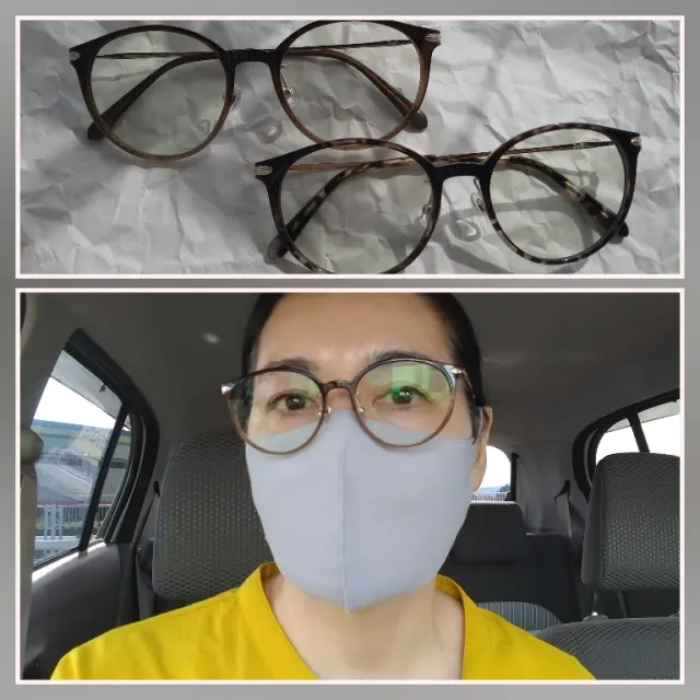 ボストン色違いとマスク