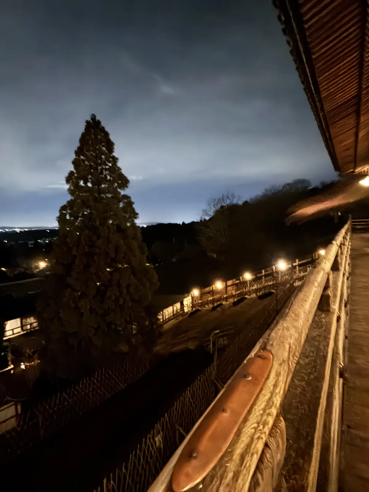 奈良に春を告げる「お水取り」——東大寺二の画像_5