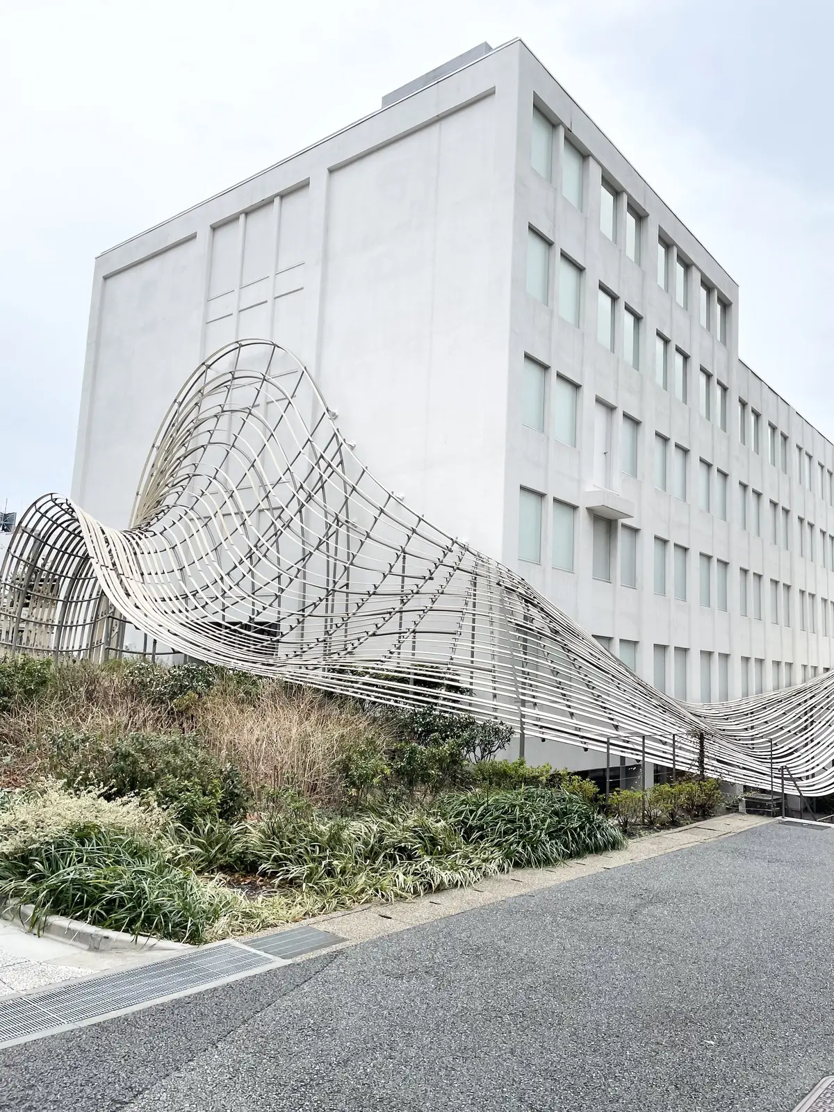 早稲田、館内、早稲田大学、早稲田大学 国際文学館、村上春樹ライブラリー、銅版画作家、山本容子、作品展、