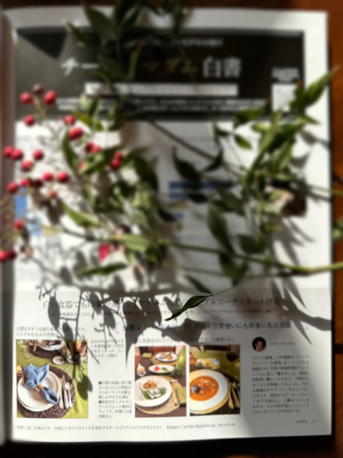 2023.今年も宜しくお願い致します♪の画像_2