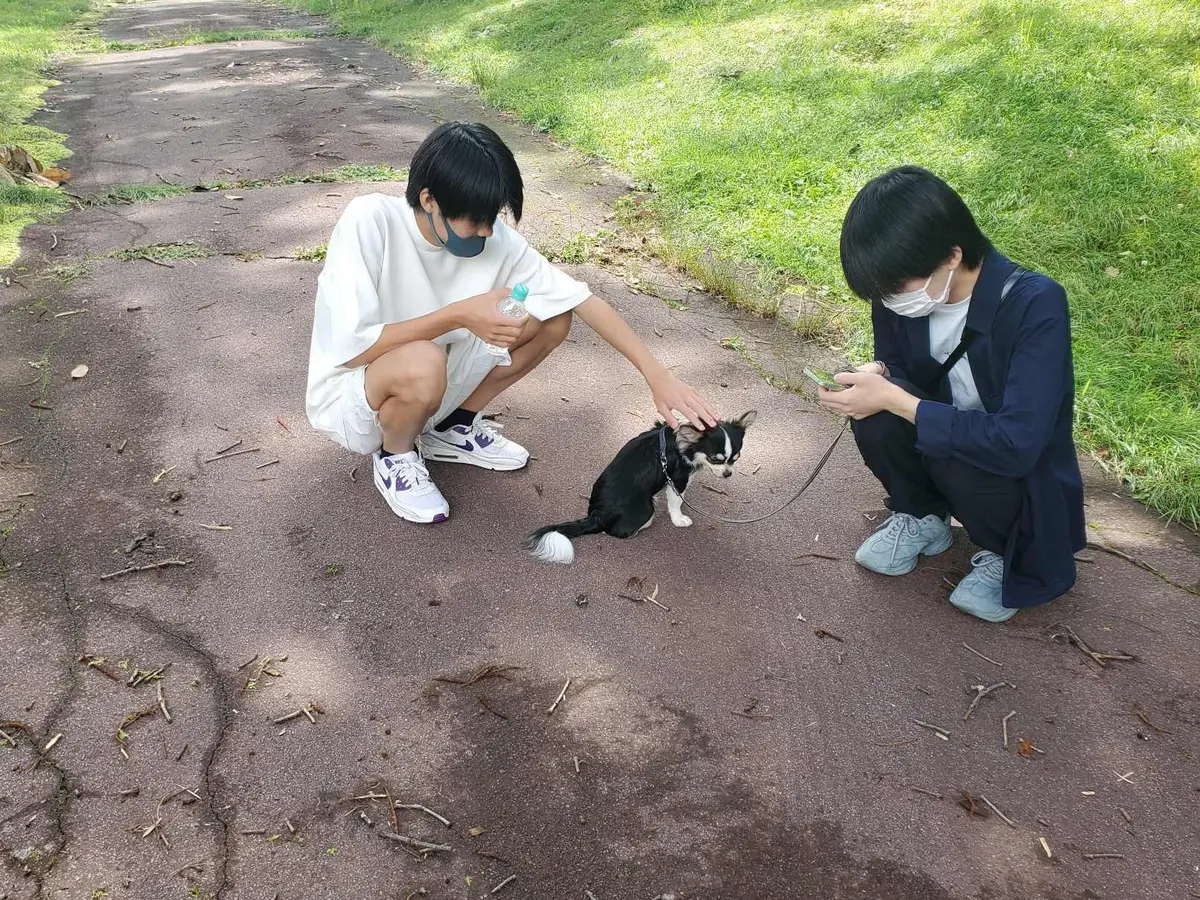 兄弟と犬