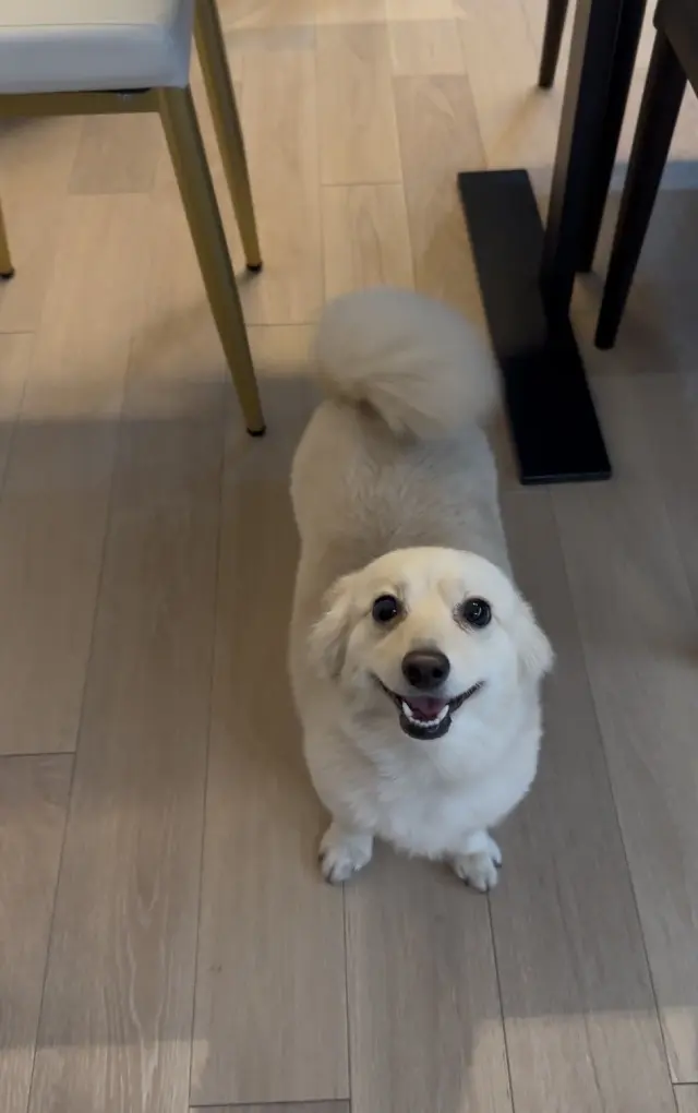 素敵なクリスマスパーティー、前編。の画像_6