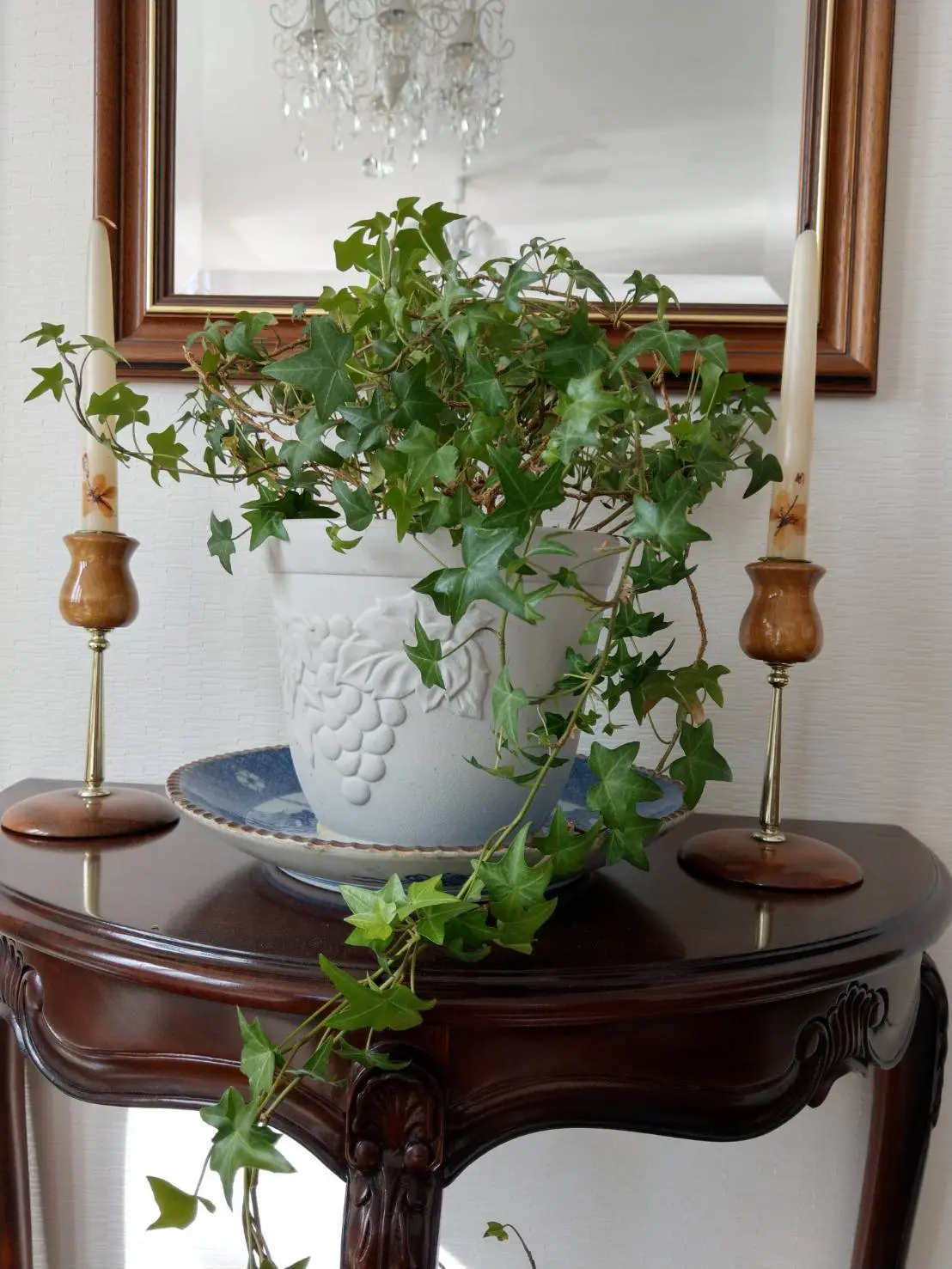 骨董のお皿を植物の鉢の受け皿に