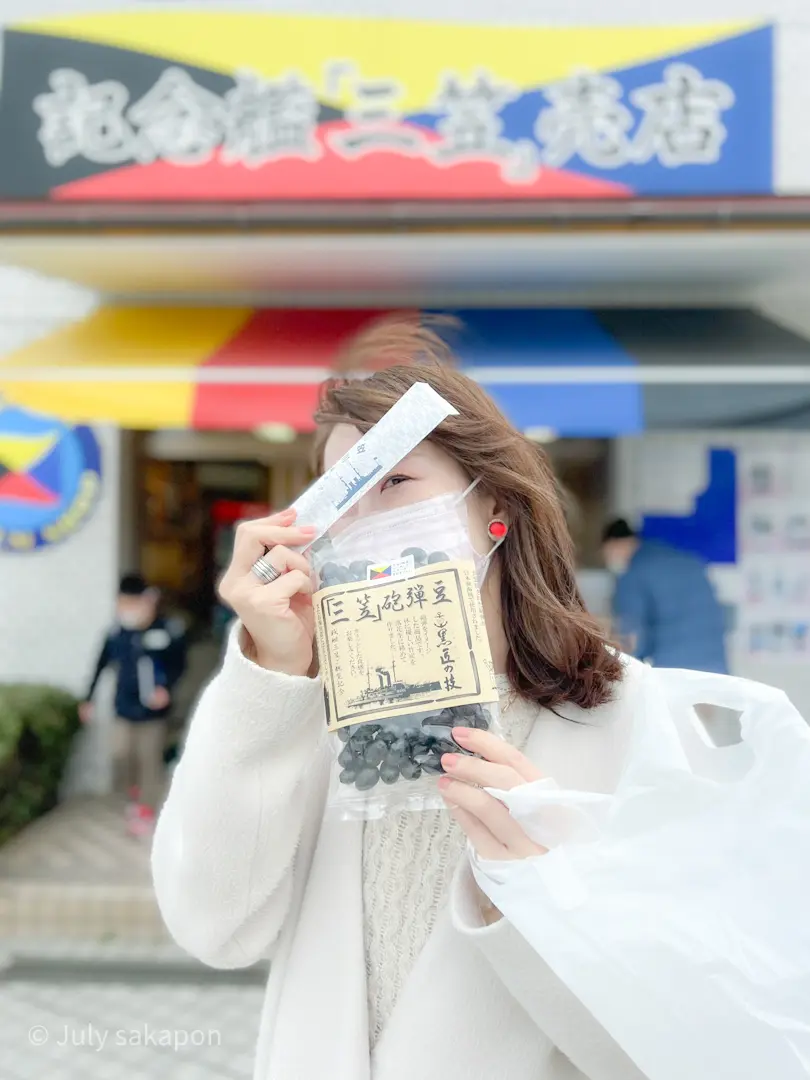 【さかぽんの冒険】後編☆横須賀きっぷの旅の画像_10