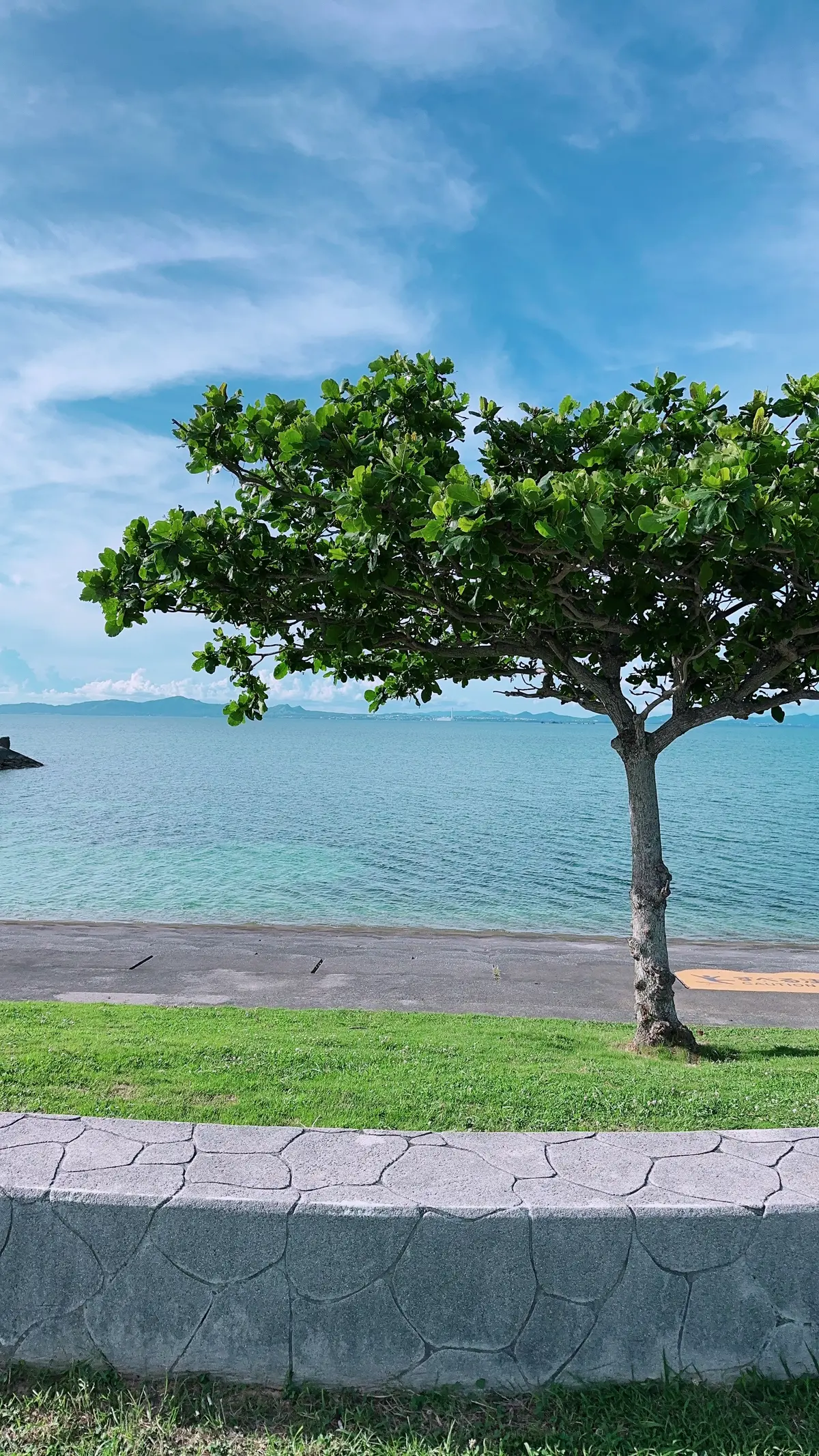 沖縄恩納村の風景