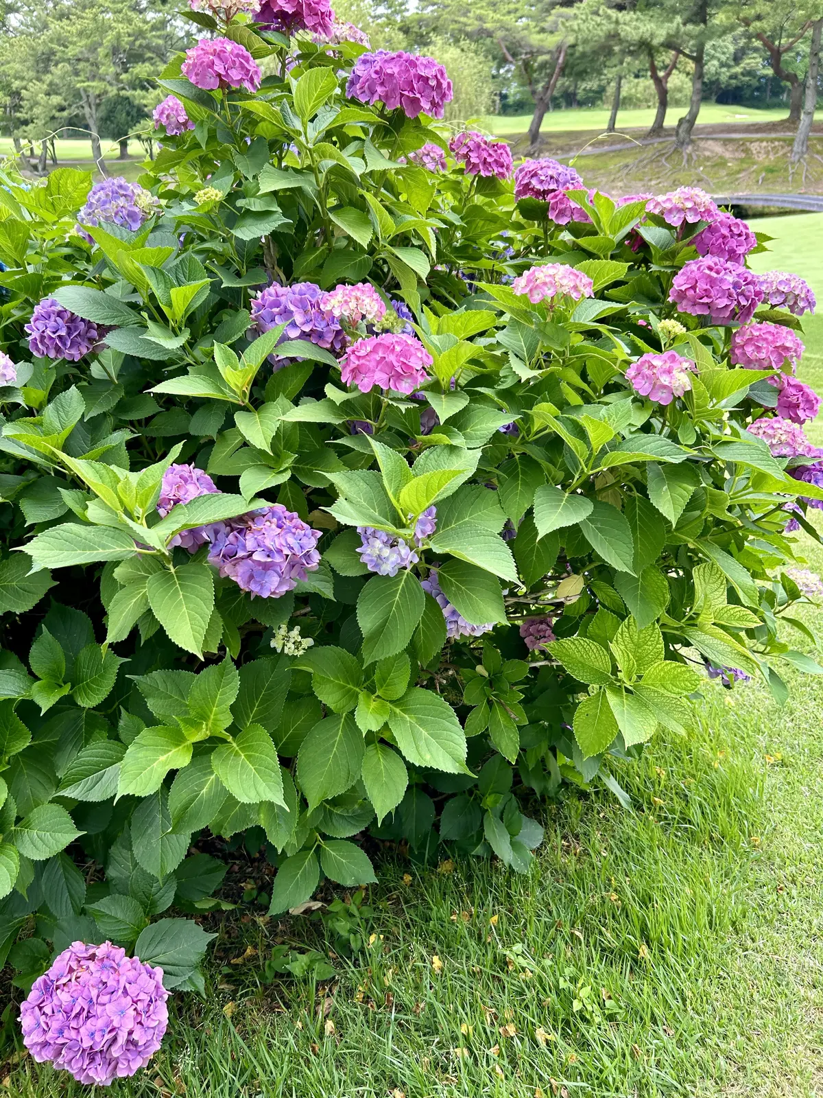 神戸の休日　100周年を迎えるベーカリーの画像_12