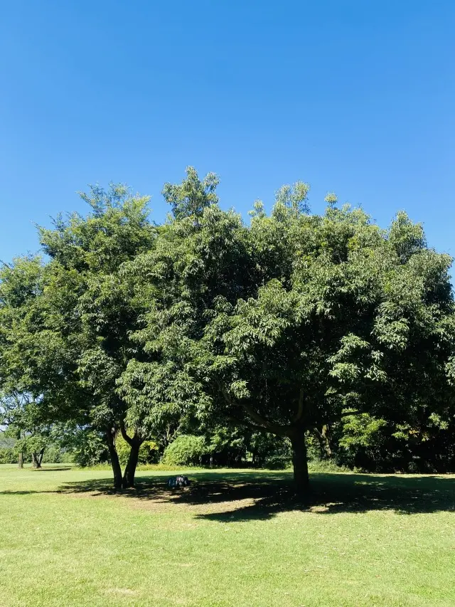 自然の恵みと、友情と、美味しいフレンチにの画像_3