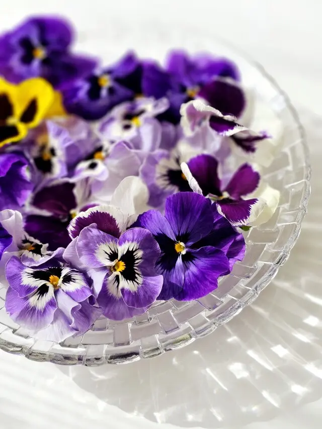 朝の花がら摘みの画像_2