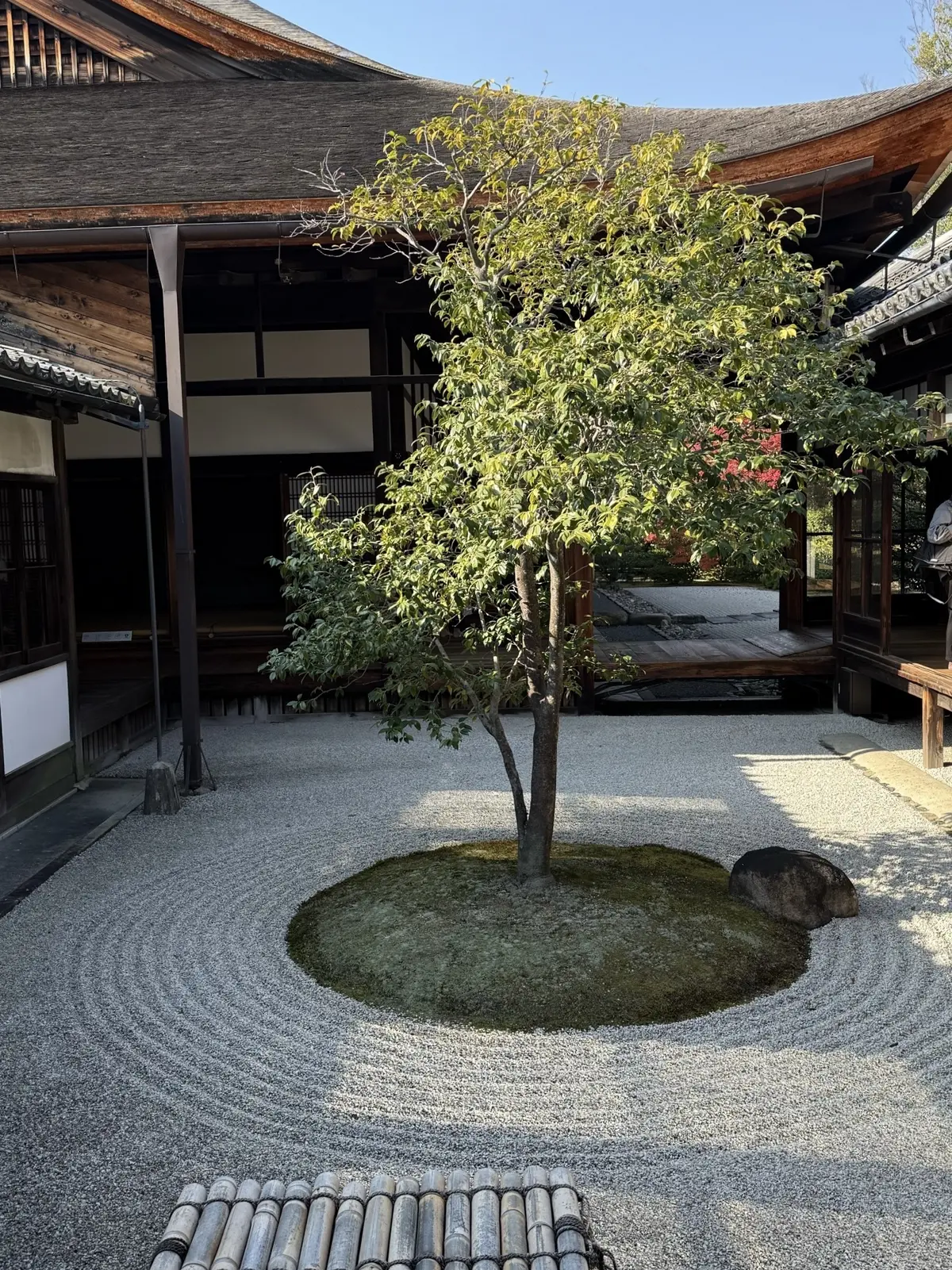 【大人の京都】寺院仏閣とお気に入りの秋のの画像_43